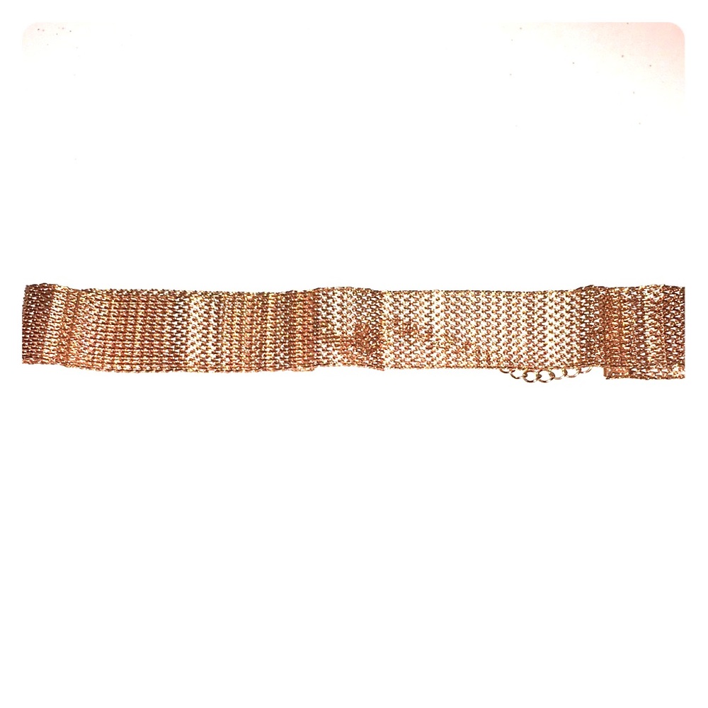 Brandy Melville Rose Gold Necklace